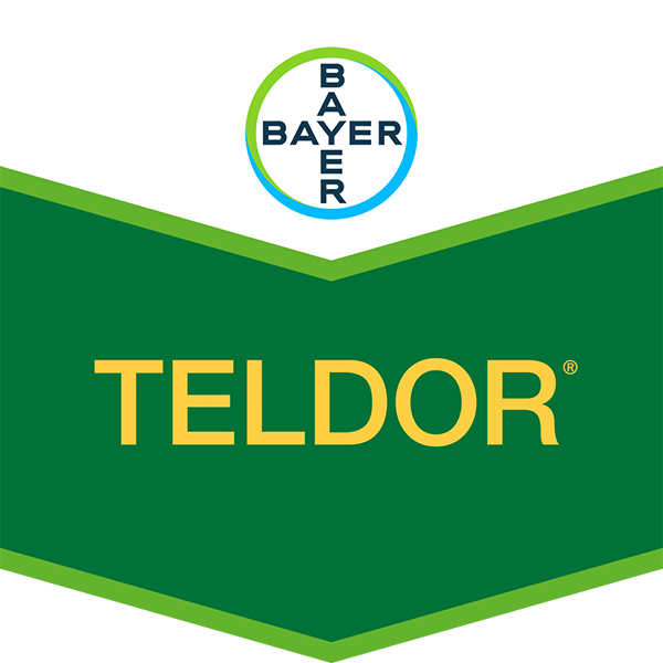 Teldor produktlogo